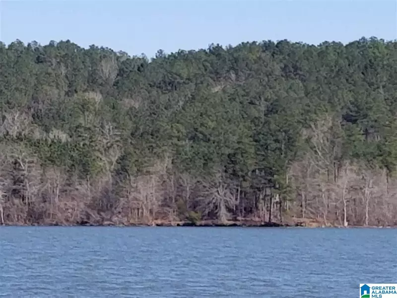 0 DAYBREAK CURVE #Lot 7, Rockford, AL 35136