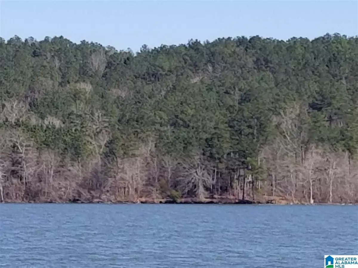 Rockford, AL 35136,0 DAYBREAK CURVE #Lot 6