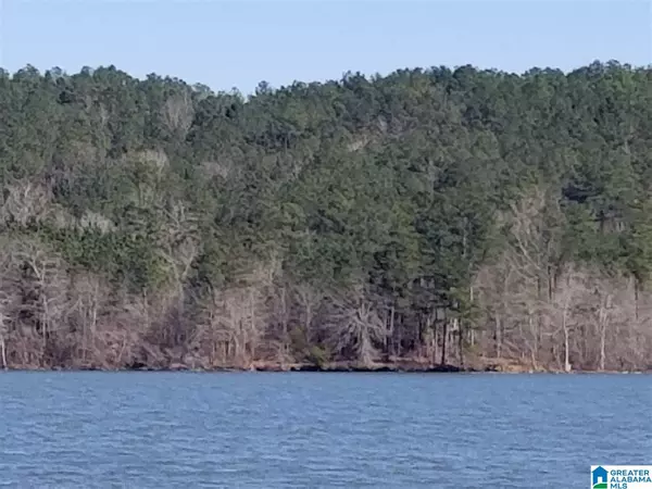 0 DAYBREAK CURVE #Lot 6, Rockford, AL 35136