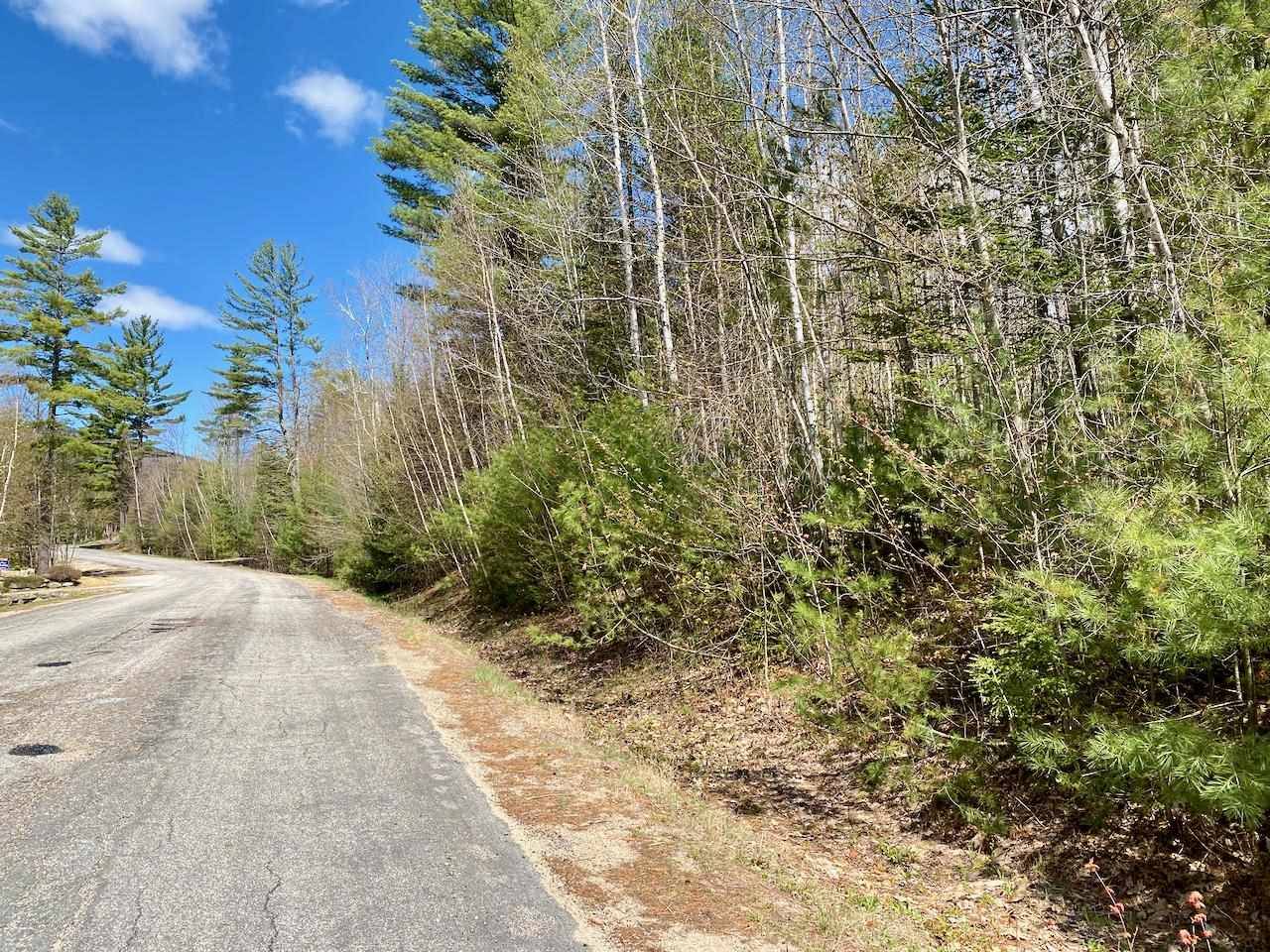 Bartlett, NH 03812,0 Stanton Farm RD #A10