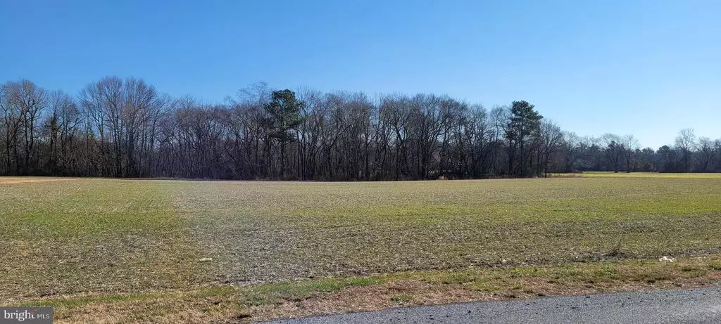 4 ACRES ADAMSVILLE RD, Greenwood, DE 19950