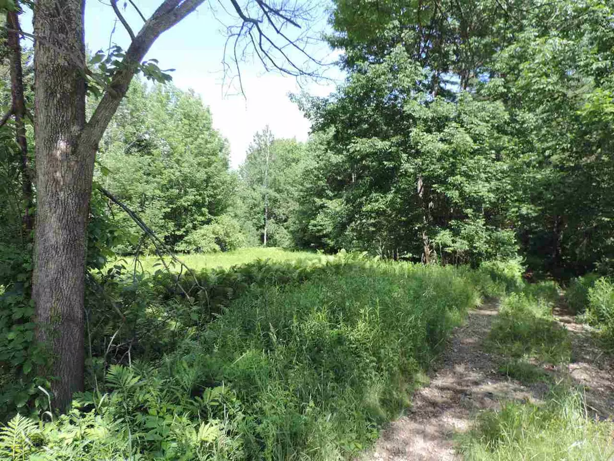 Newport City, VT 05855,Lot 1-B Lake RD