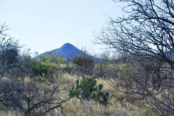 Oracle, AZ 85623,2.5 Acres W Linda Vista Rd