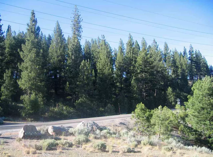 10365 Jibboom Street, Truckee, CA 96161