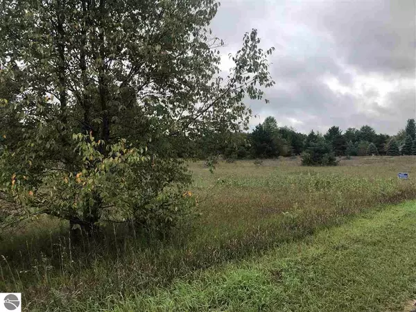 1027 and 1029 Pyrenees Drive, Lake Isabella, MI 48893