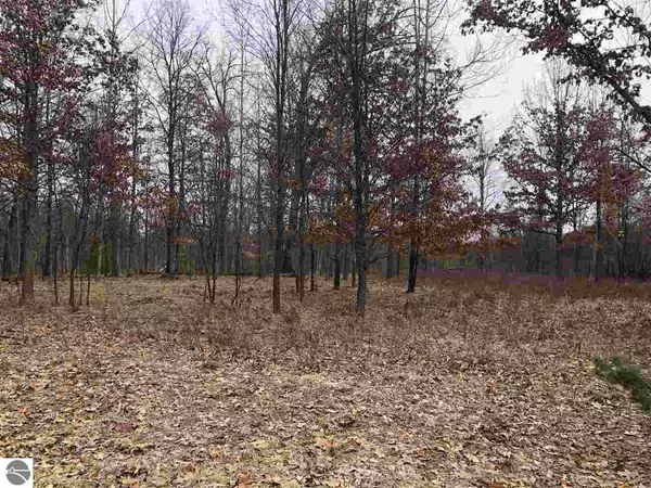 6790 Abbey Lane #7, Stanwood, MI 49346