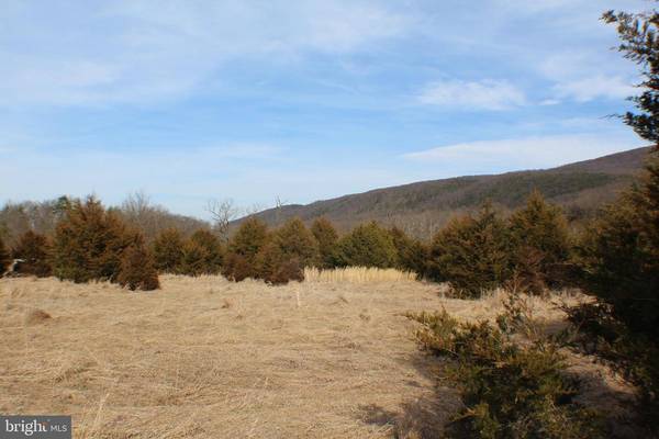 16.77AC S MILL CREEK, Upper Tract, WV 26866