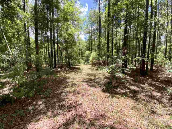 Madison County, FL 32059,391 NE Condurango Lane