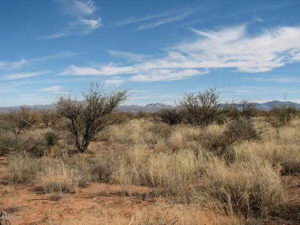 Douglas, AZ 85607,40.69 Acre Ortiz Road