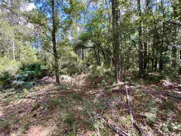 Madison County, FL 32340,Vacant SW Live Oak Road