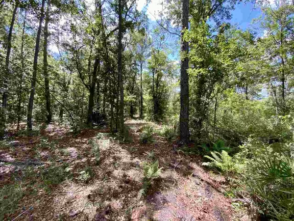 Madison County, FL 32340,Vacant SW Live Oak Road