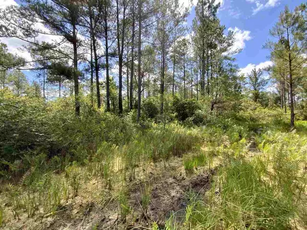 Madison County, FL 32340,Vacant SW Live Oak Road