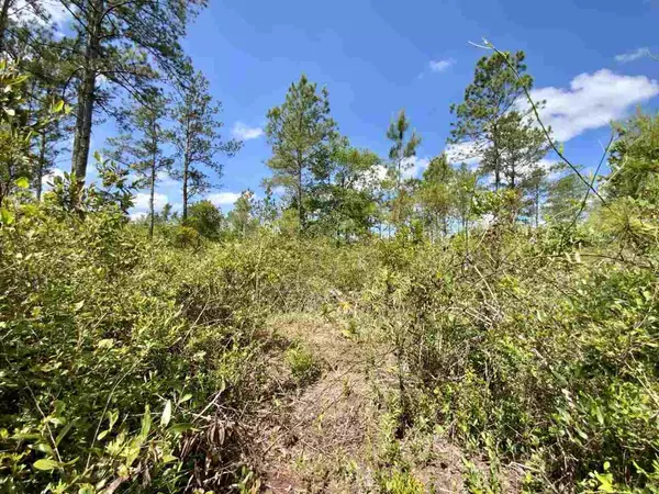 Madison County, FL 32340,Vacant SW Live Oak Road