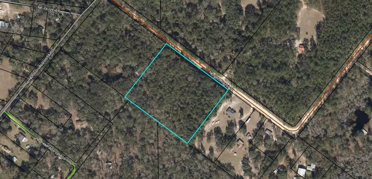 Vacant NE Palmetto Street, Pinetta (madison County), FL 32350