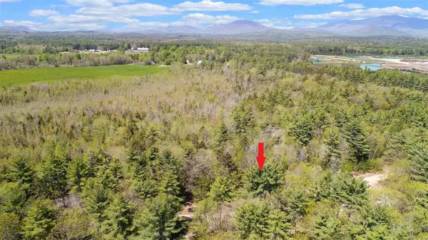 6 Perkins LN, Tamworth, NH 03883