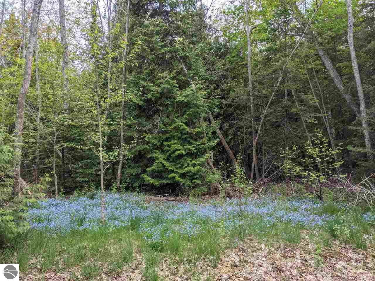 000 N Forest Beach Shores Lot 254, Northport, MI 49670