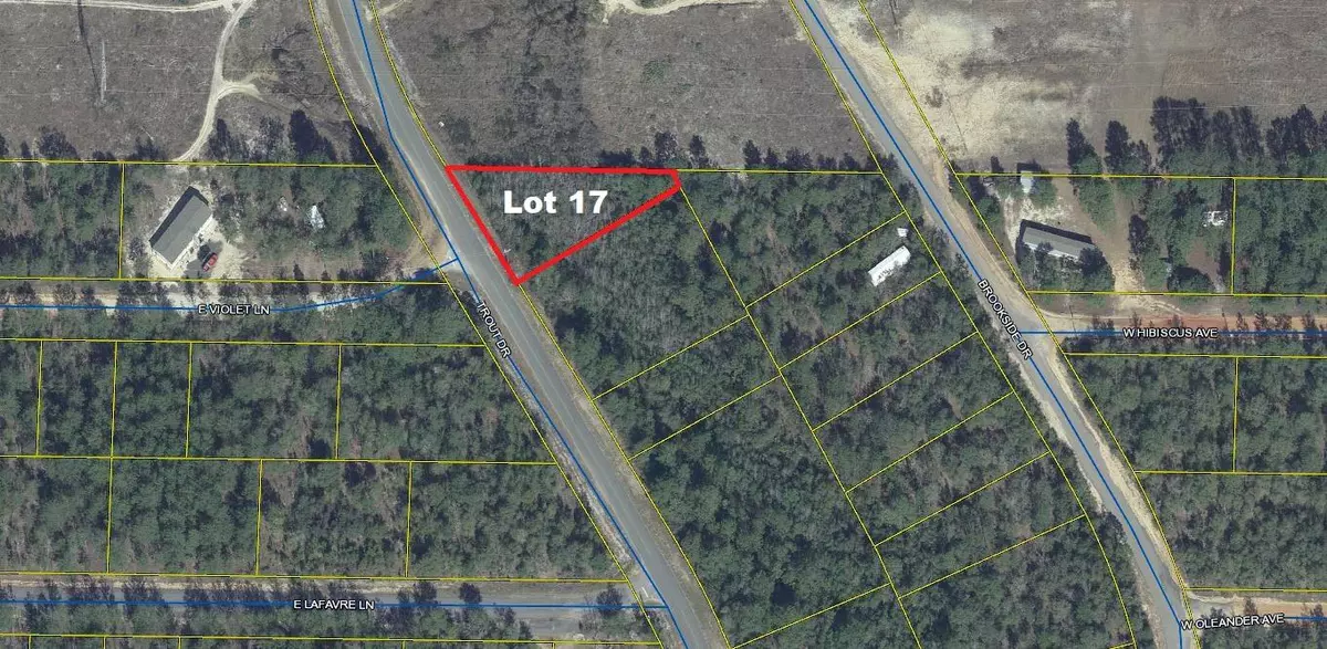 Defuniak Springs, FL 32433,Lot 17 Trout Drive