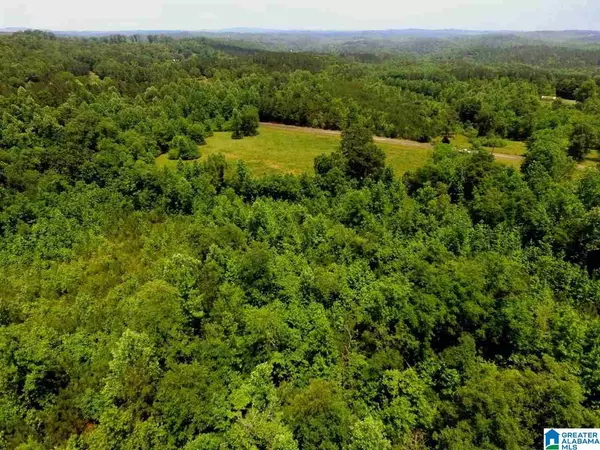 Lineville, AL 36266,COUNTY ROAD 263 #18 acres