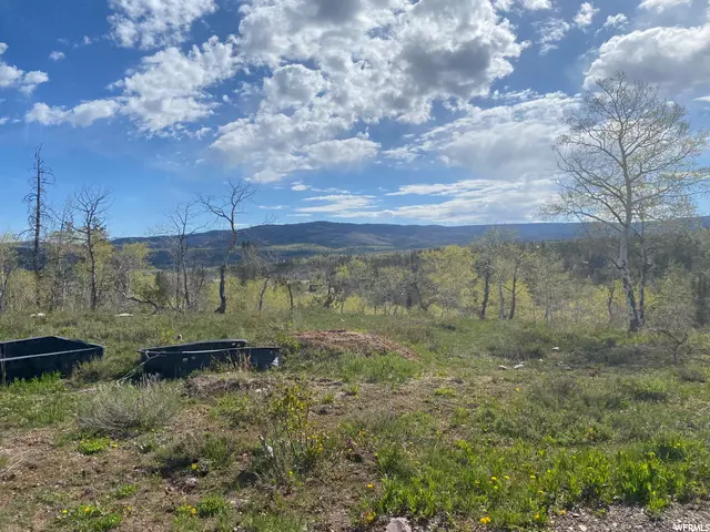 Kamas, UT 84036,4782 ALPINE RD #1508