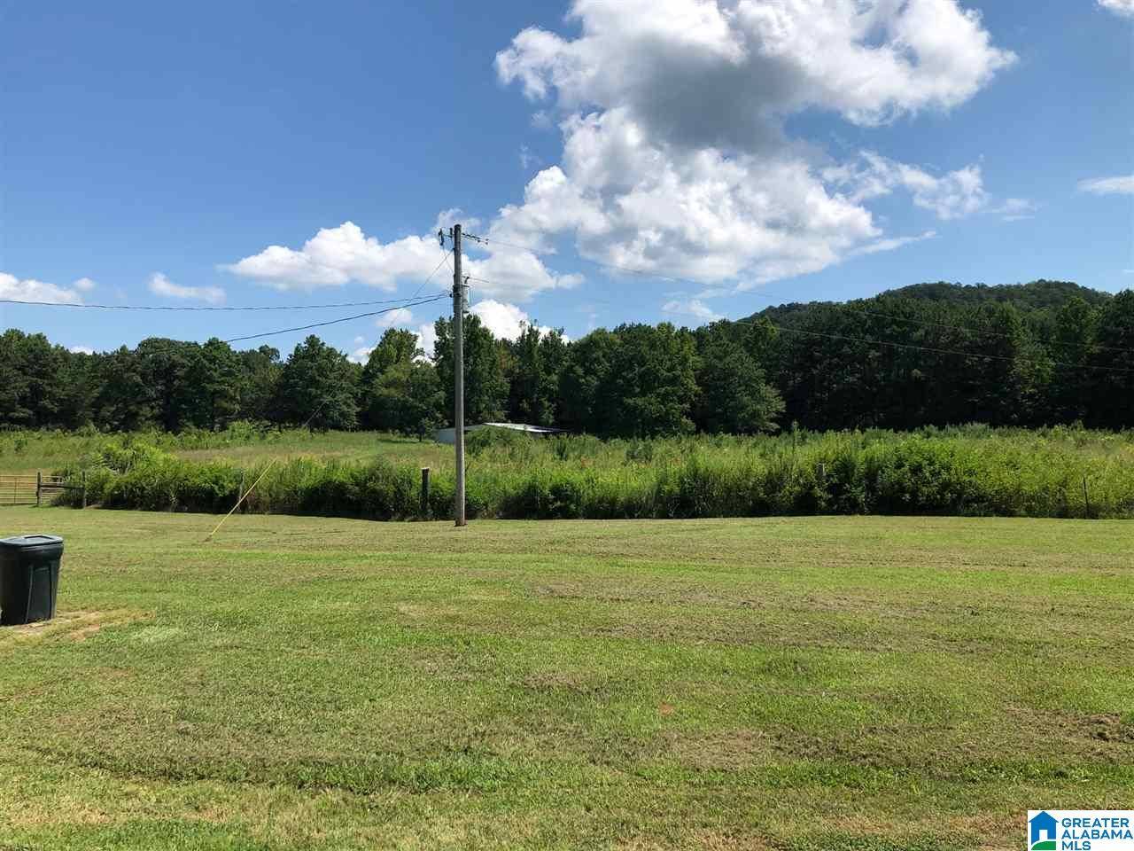 Hanceville, AL 35077,7231 CO RD 8