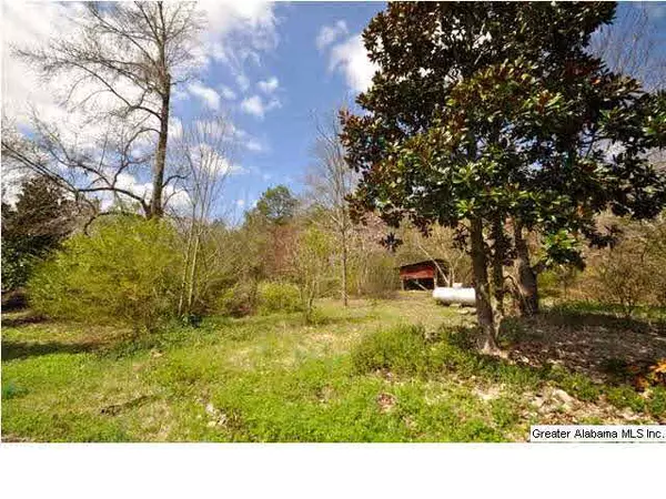 Hanceville, AL 35077,394 CO RD 557