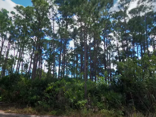 Fort Pierce, FL 34951,5194 Tree Top TRL