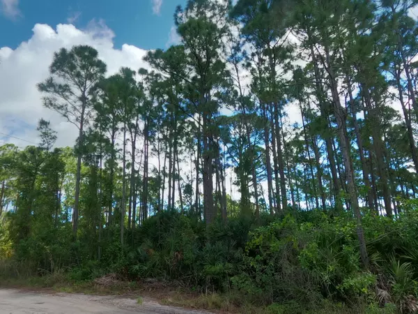 Fort Pierce, FL 34951,5194 Tree Top TRL