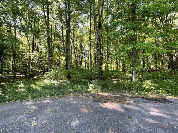 Port Sheldon Twp, MI 49424,0 Forest Drive