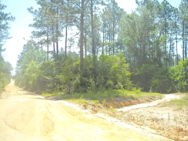 Laurel Hill, FL 32567,Lot D1A Planters Drive