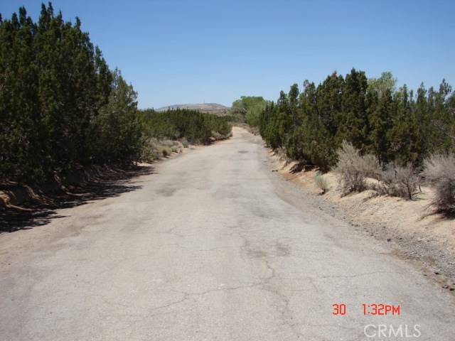 Palmdale, CA 93550,0 Vac/25th Ste/Barrel Springs RD