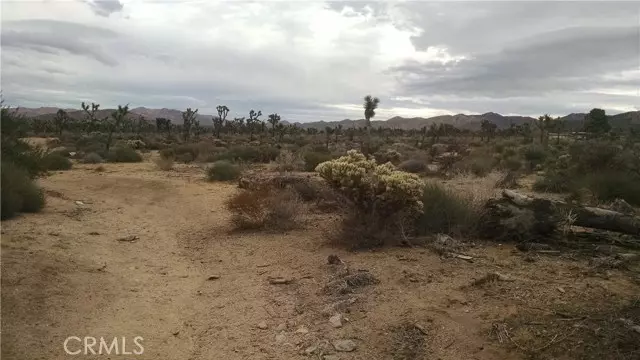 Yucca Valley, CA 92284,0 Church