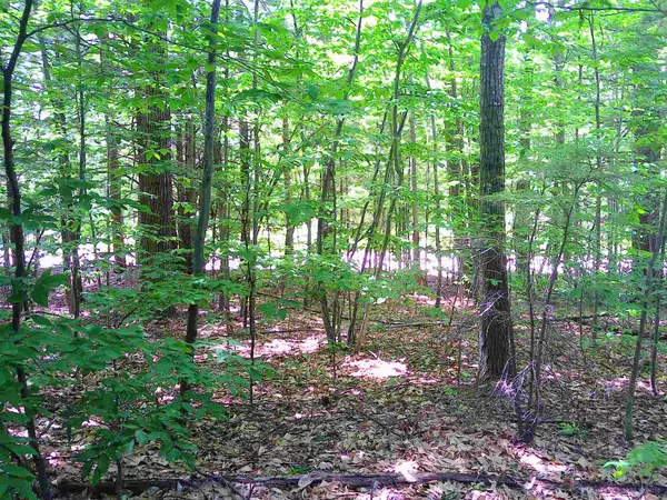 Lot 201 Marsha DR, Alton, NH 03810