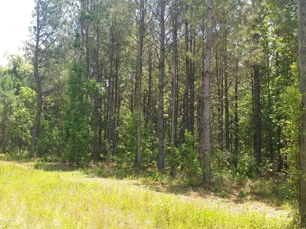 Baker, FL 32531,1099 Coffeemaker Lane