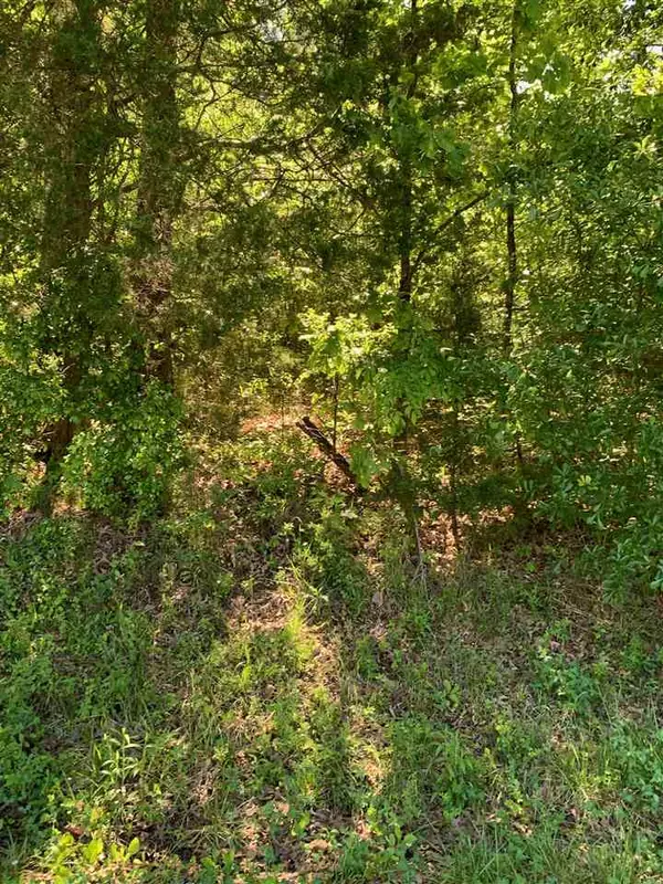 Bolivar, TN 38008,LOT 7 POPLAR ST #LOT 7