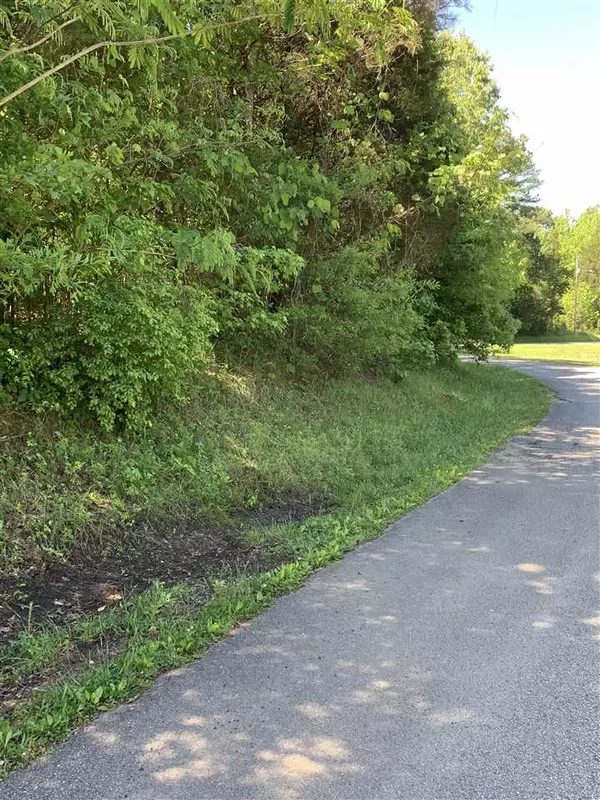 Bolivar, TN 38008,LOT 4 POPLAR ST #LOT 4