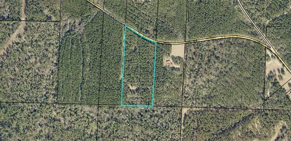 12.83 AC James Peaden Road, Baker, FL 32531