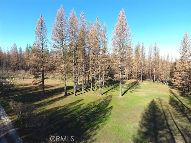 454 Rockerfeller RD, Berry Creek, CA 95916