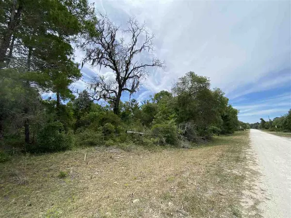 Perry, FL 32348,Vacant Fiddlers Way