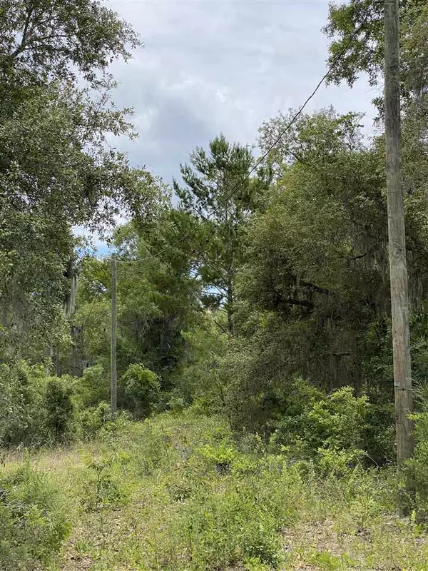 Perry, FL 32348,Vacant Fiddlers Way