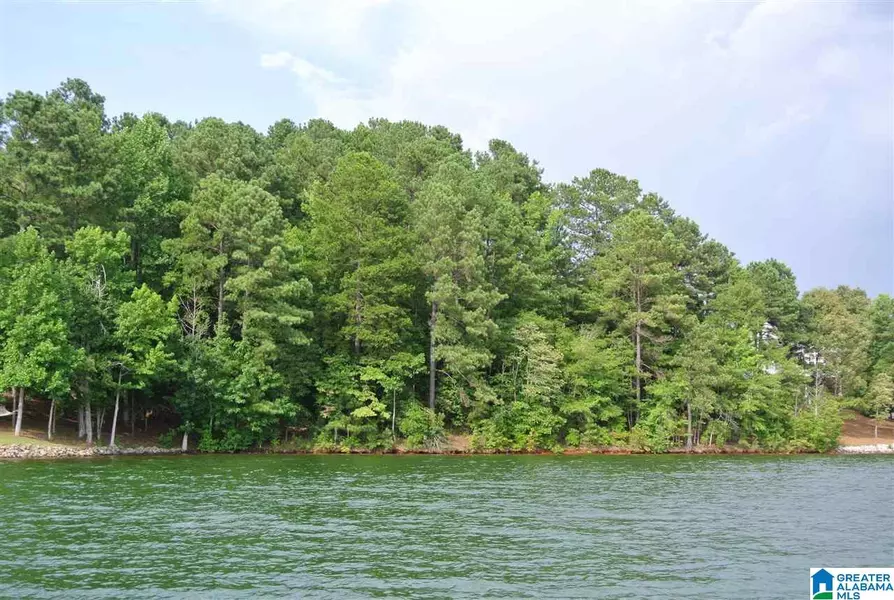 HUMMINGBIRD DRIVE #26, Wedowee, AL 36278