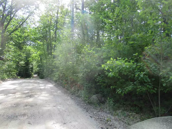 Lyndeborough, NH 03082,Lot 206-25-1 Schoolhouse RD