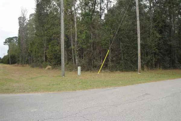 High Springs, FL 32643,NW CR 236