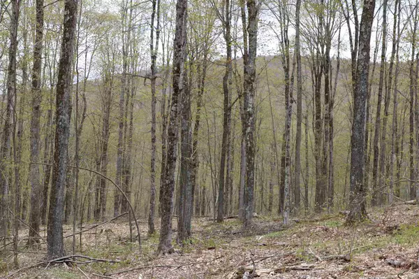 Barnard, VT 05031,0 Chateauguay RD