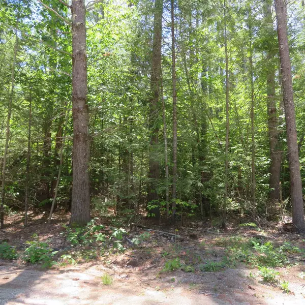 Lot #93 Leisure DR, Moultonborough, NH 03254