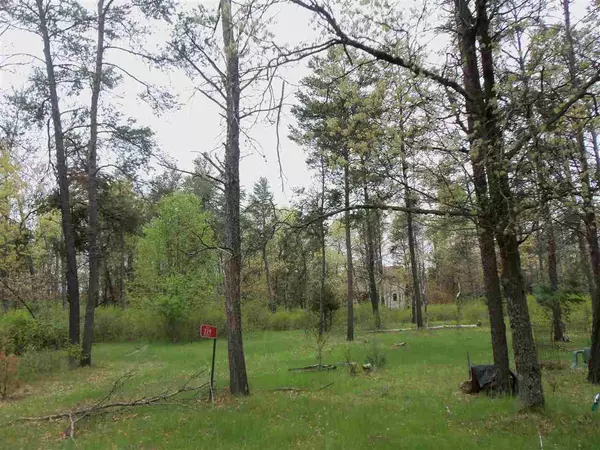 Nekoosa, WI 54457,227 and 229 Windsor Ct