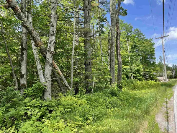 LOT 3 VT RT 30, Jamaica, VT 05343