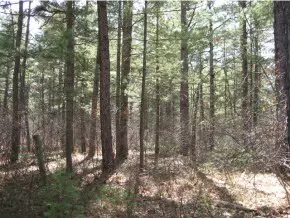 Ossipee, NH 03890,00 Apache LN #Lot 24B