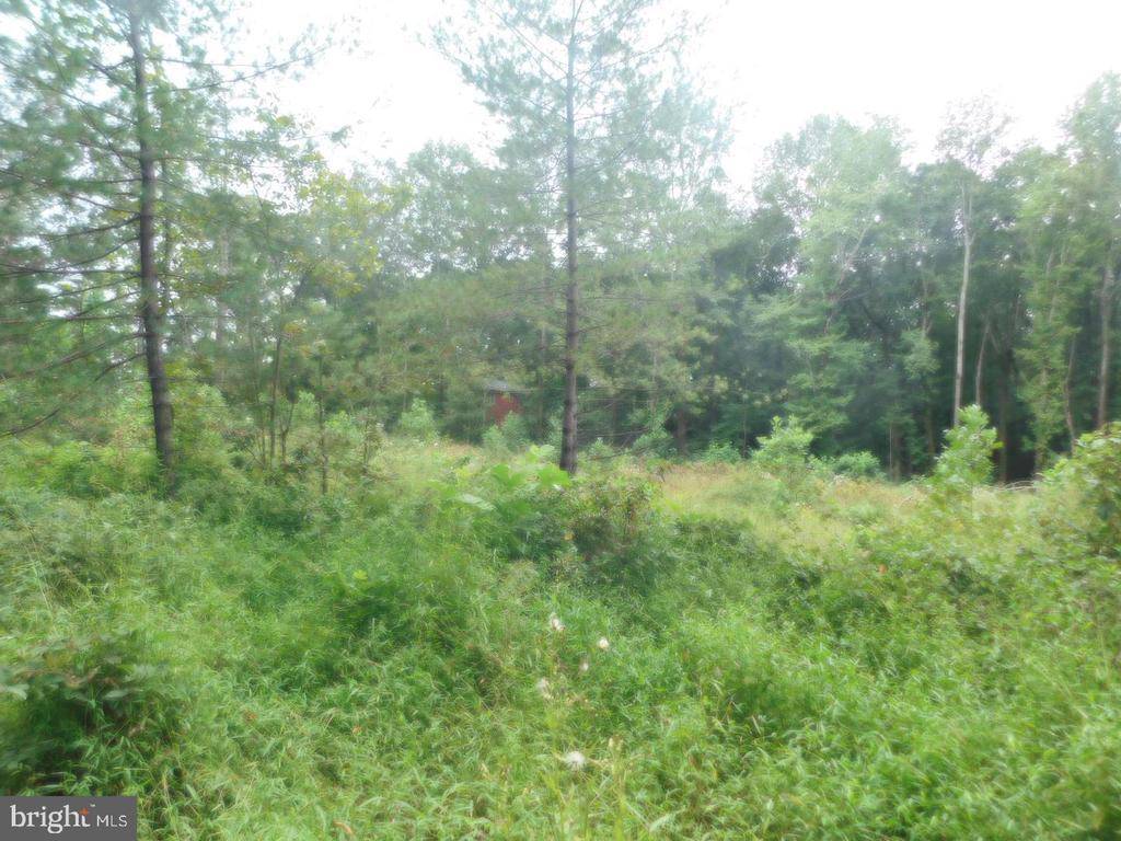 Rhoadesville, VA 22542,LOT 13 BELLEWOOD ACRES LN