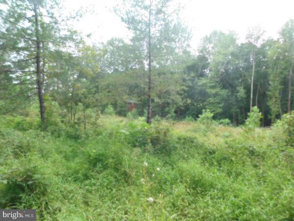 LOT 13 BELLEWOOD ACRES LN, Rhoadesville, VA 22542