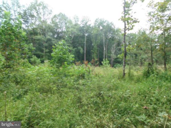 Rhoadesville, VA 22542,LOT 13 BELLEWOOD ACRES LN